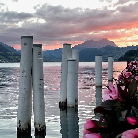 Ferienwohnungen Mit 4 Betten In Gersau Direkt Am Vierwaldstaettersee Екстер'єр фото